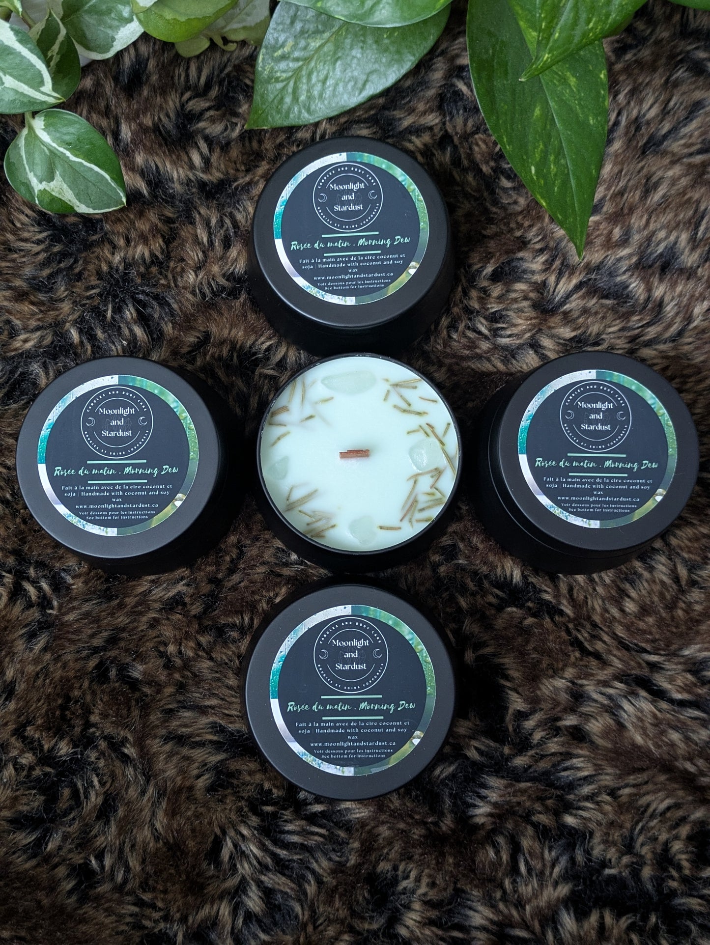 * 1 left * Seasonal (Spring): Morning dew / 4oz / wood