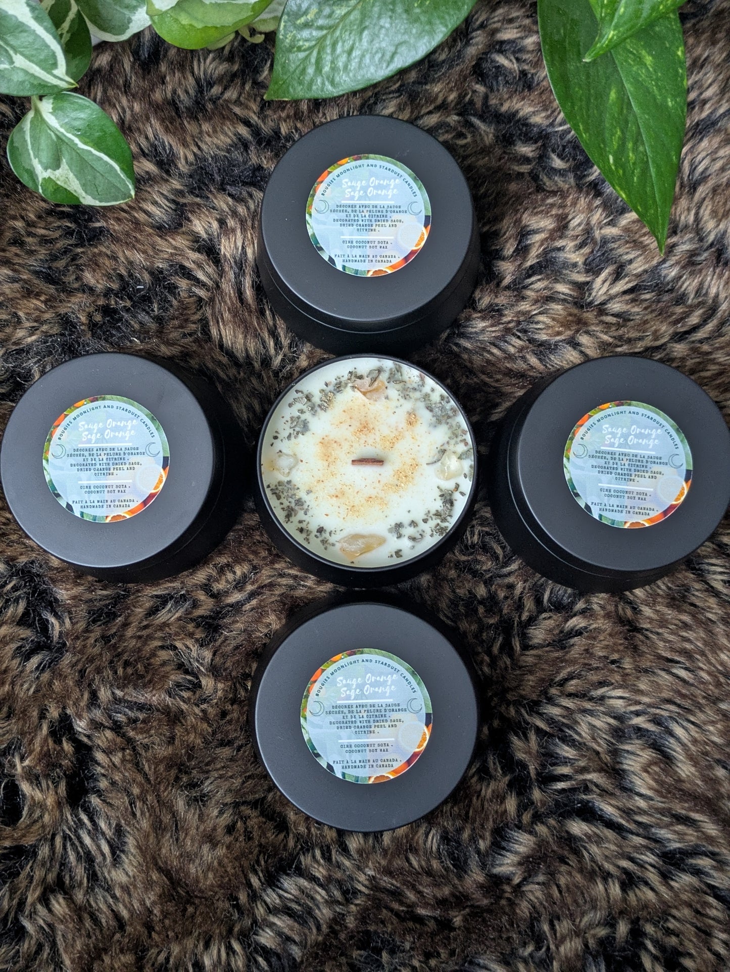 * 1 left * Regular Scent : Sage and orange / 4oz / wood