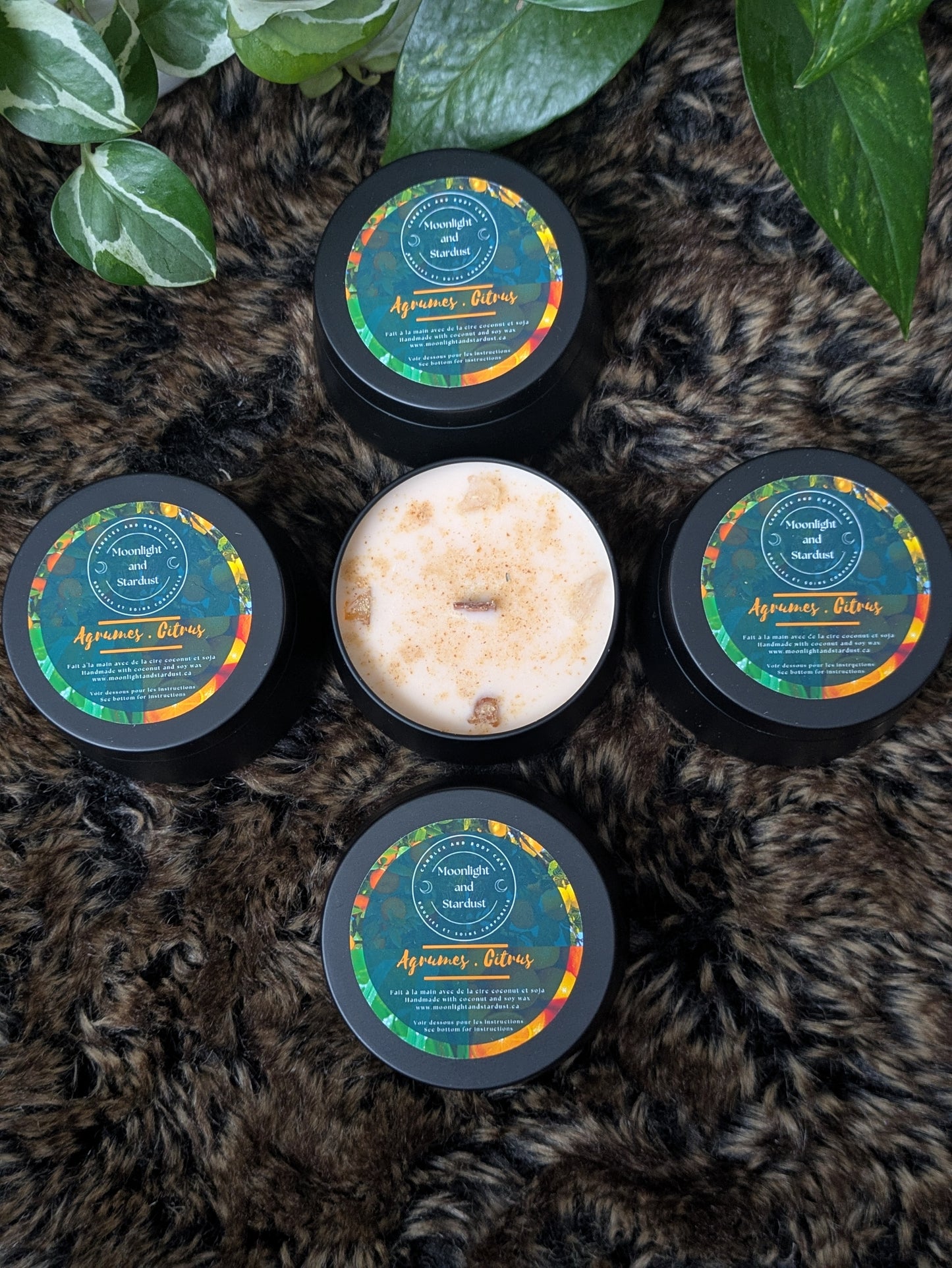 Regular Scent : Citrus / 4oz / Wood wick